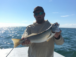 Weakfish Delights In Morehead City, NC